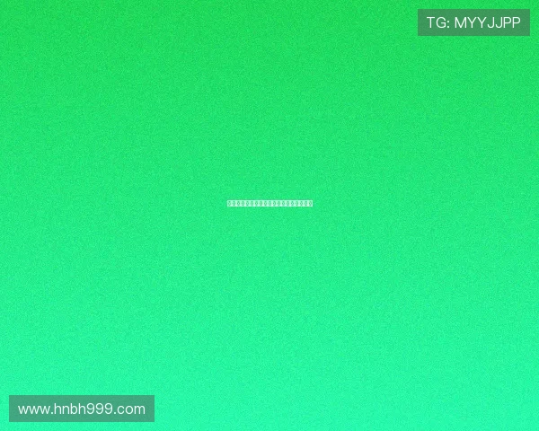 幸福的港湾：不止是停泊，更是启航的起点